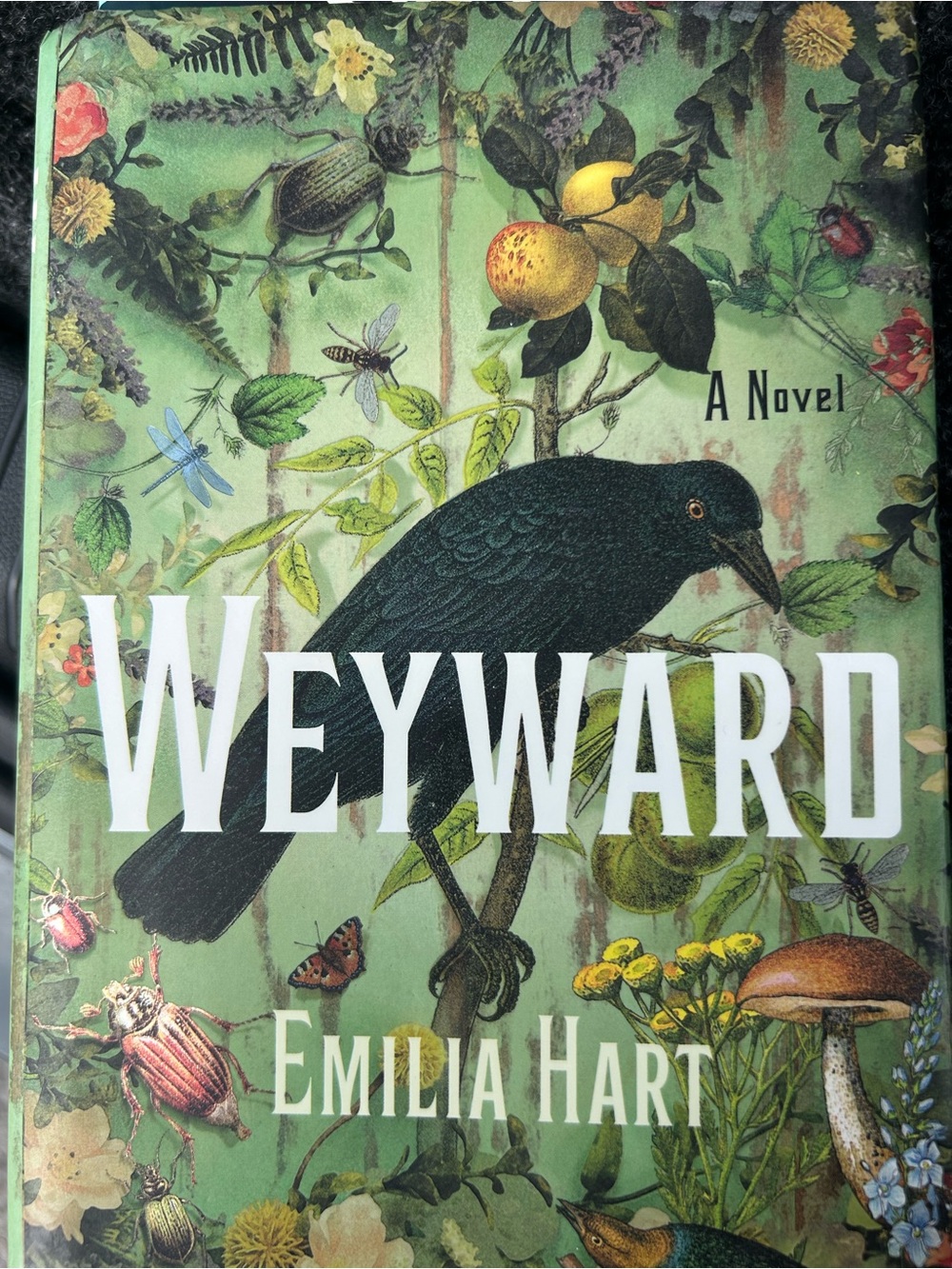 Weyward by Emilia Hart 1st Ed. Book